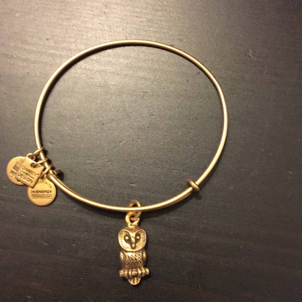 ALEX AND ANI Owl Bangle